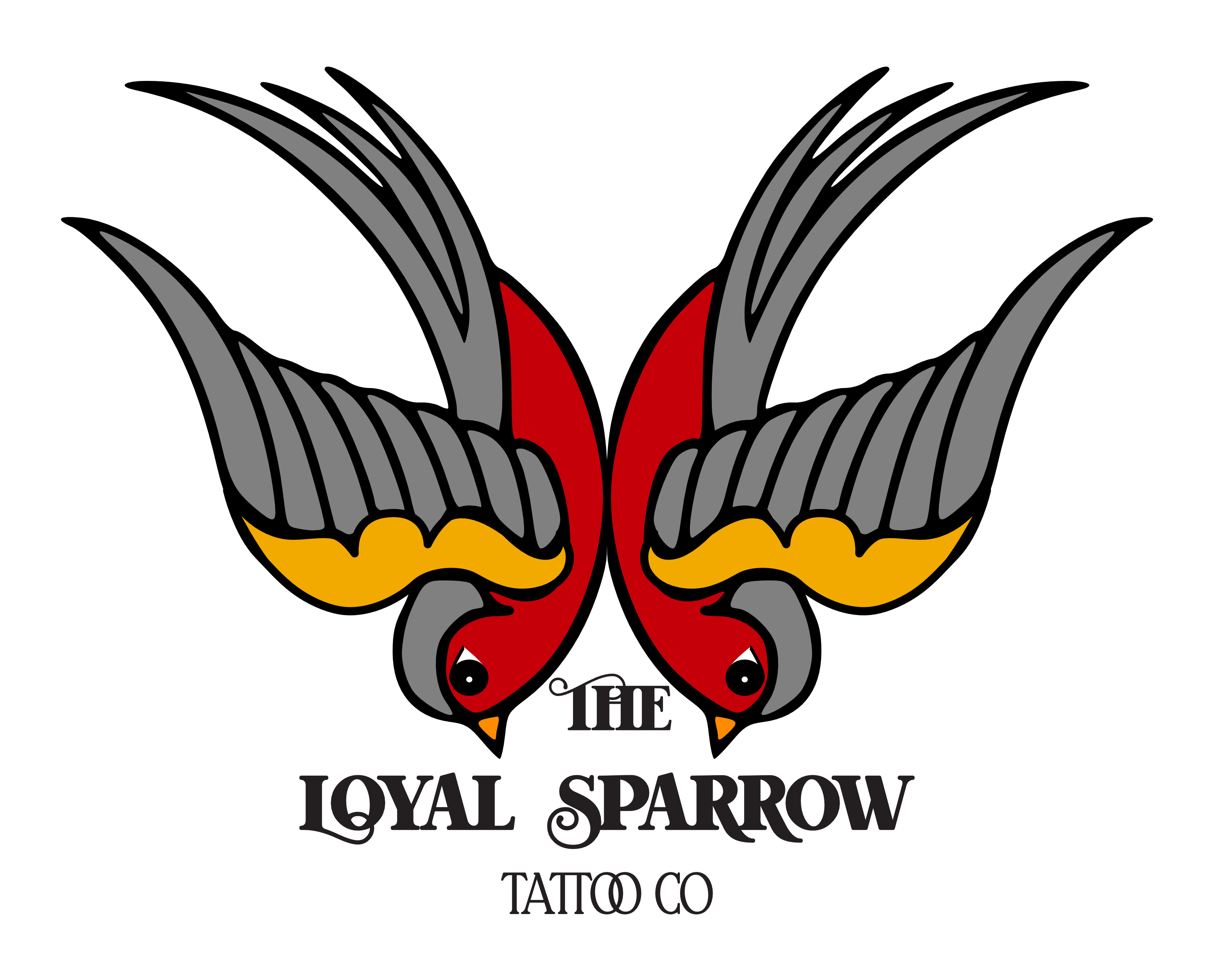 Loyal sparrow