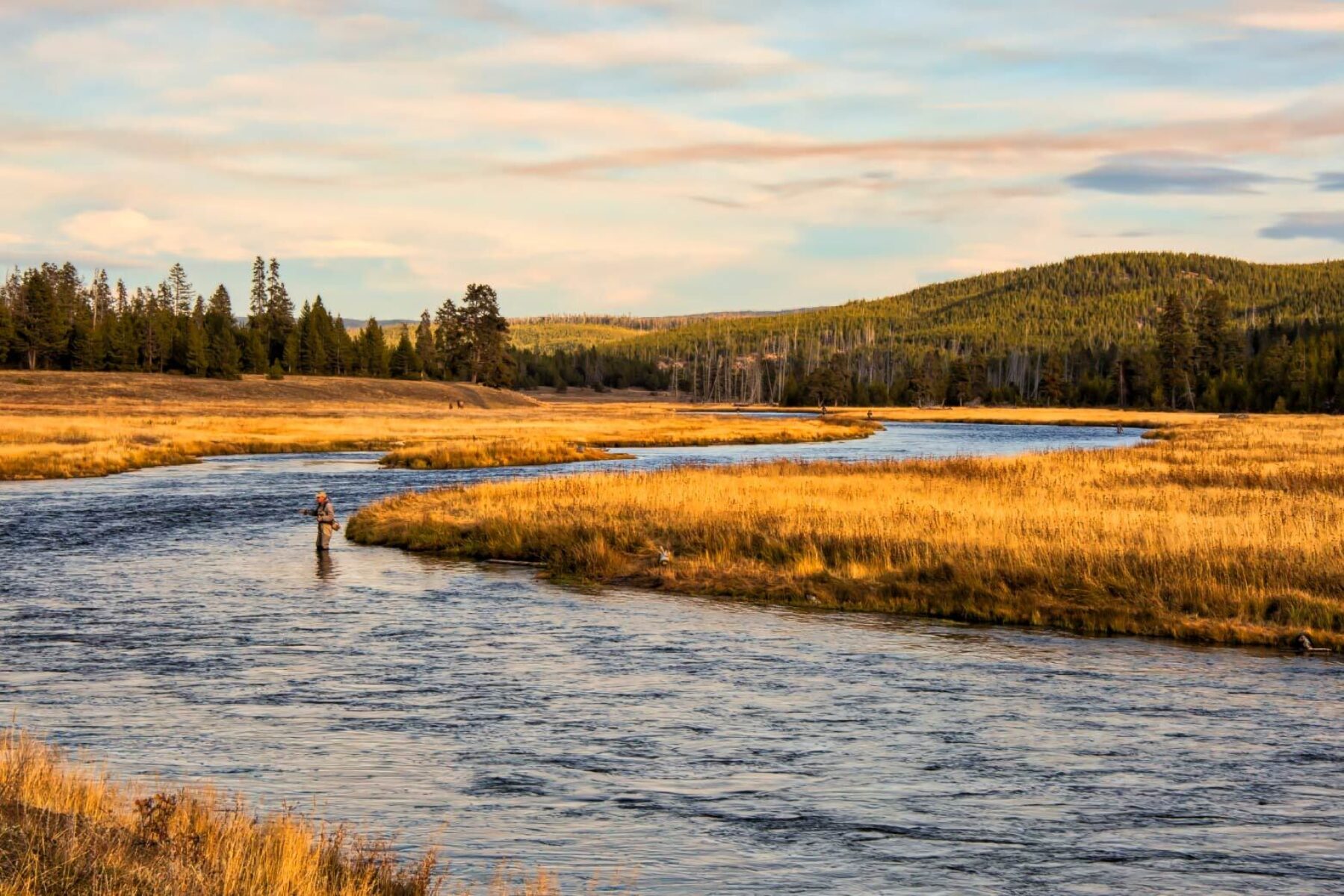 A fisherman wades in the Madison River in southwest Montana