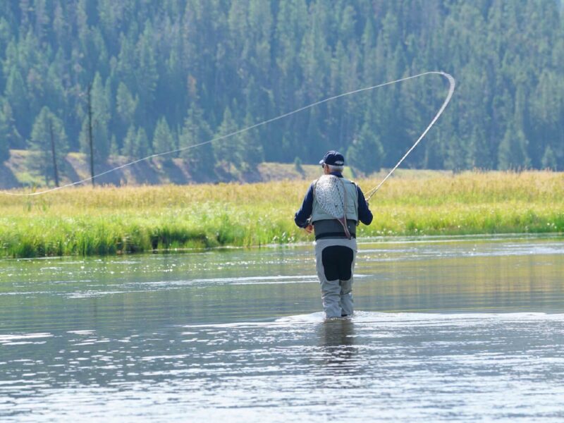 Visit Belgrade blog images Best Fly Fishing in Montana Rivers Spots and What to Know Header