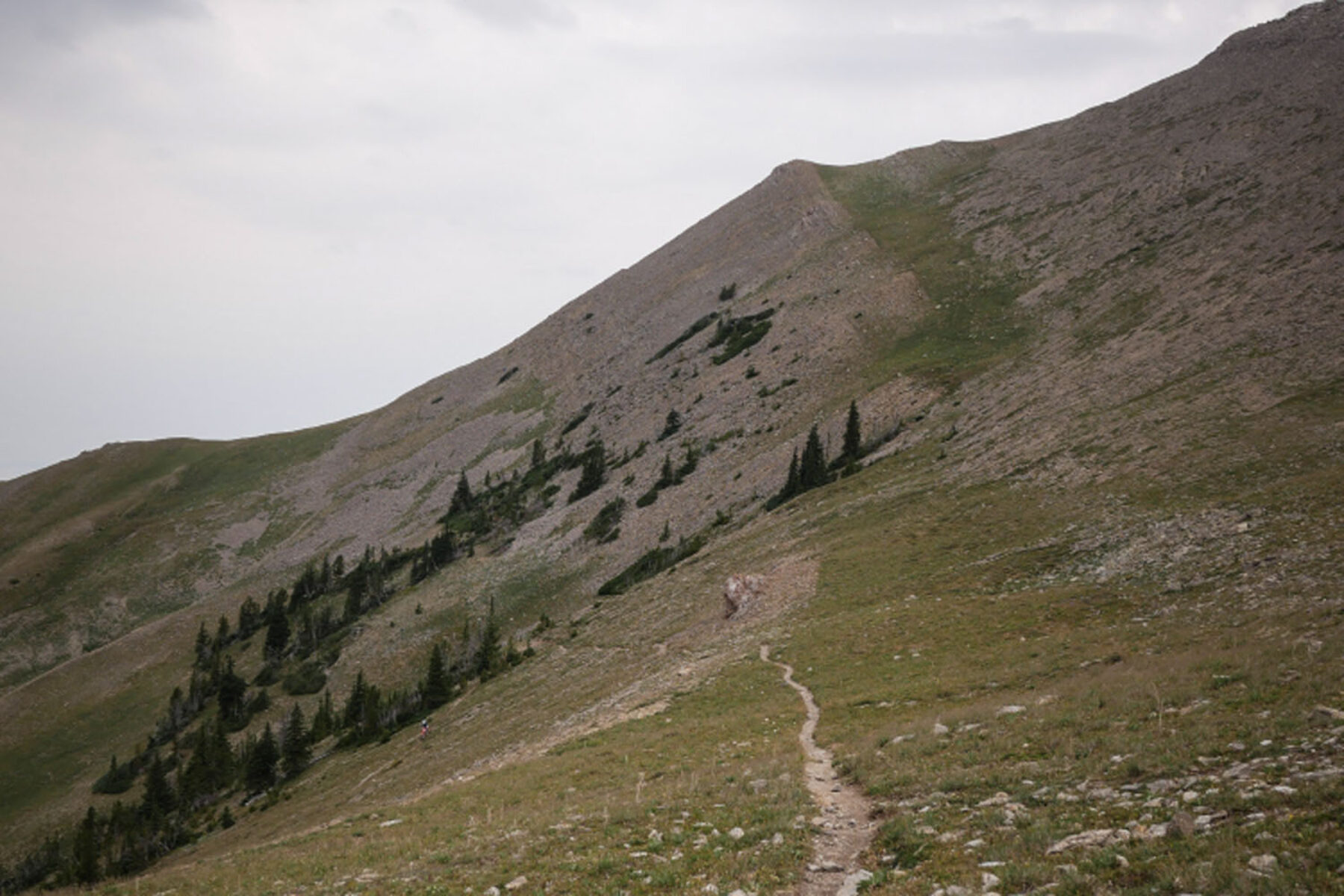 A mountainside trail up Saddle Peak in the Bridger Range in Bozeman