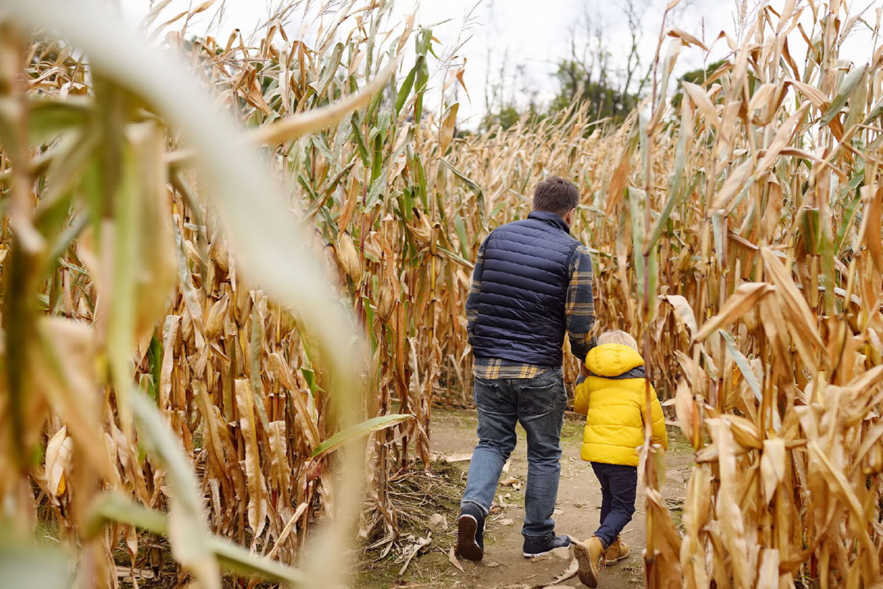 https://visit-belgrade.s3.amazonaws.com/Blog-Images/fall-events/Visit-Belgrade-blog-Fall-Harvest-Farm-Celebrations-in-Belgrade-Montana_Pumpkin-Patches-and-Corn-Mazes.jpg