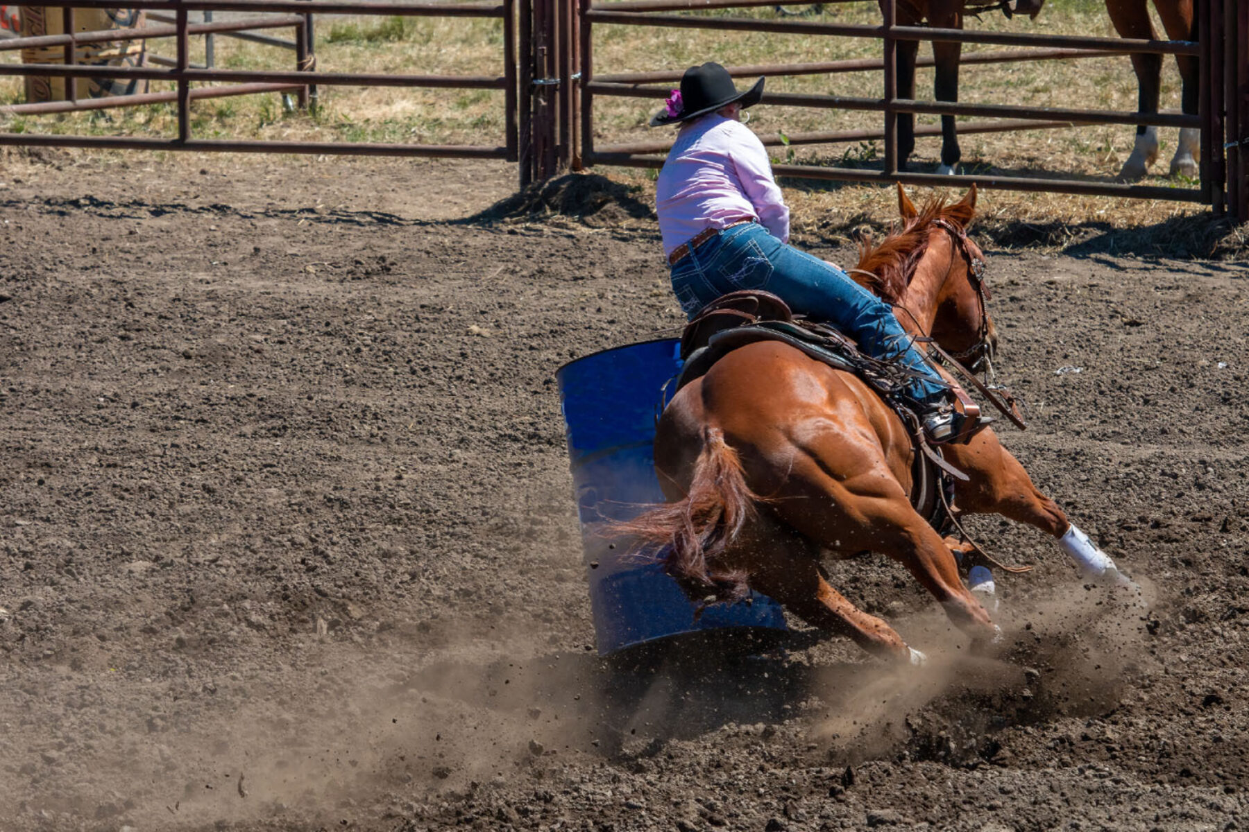 Barrel racing at a rodeo