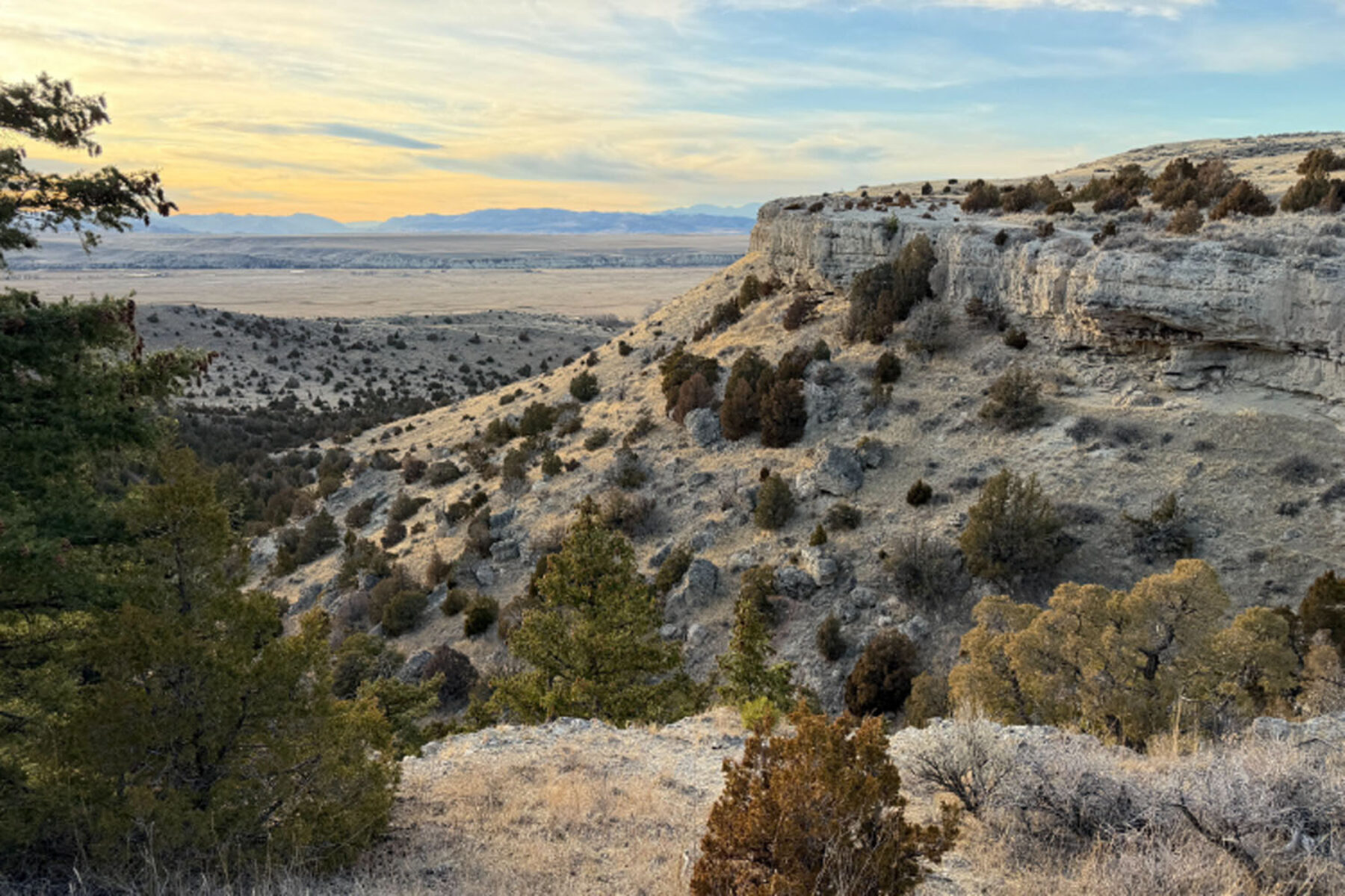 Cliff at Madison Buffalo Jump State Park in Montana