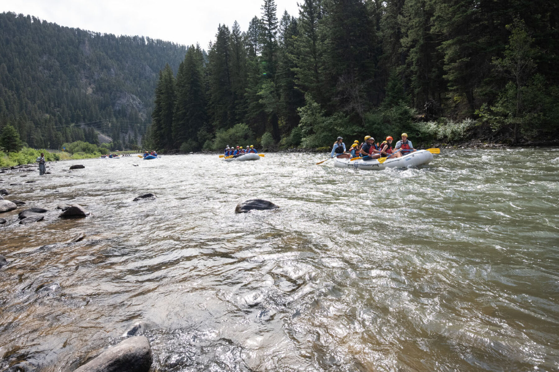 A group whitewater rafting on a river